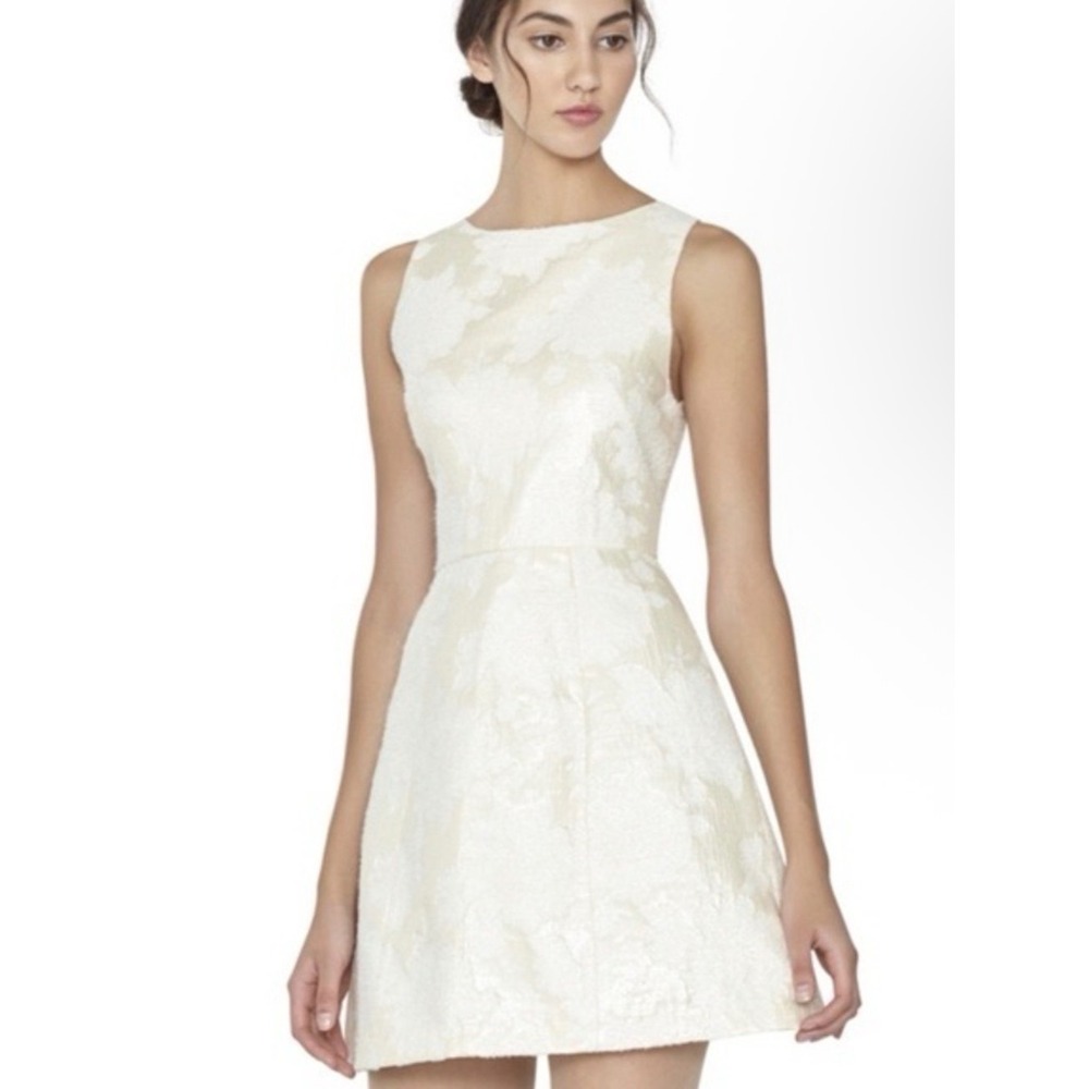 Alice + Olivia Floral Metallic Brocade Fit & Flare Mini Dress Size 4 Revolve